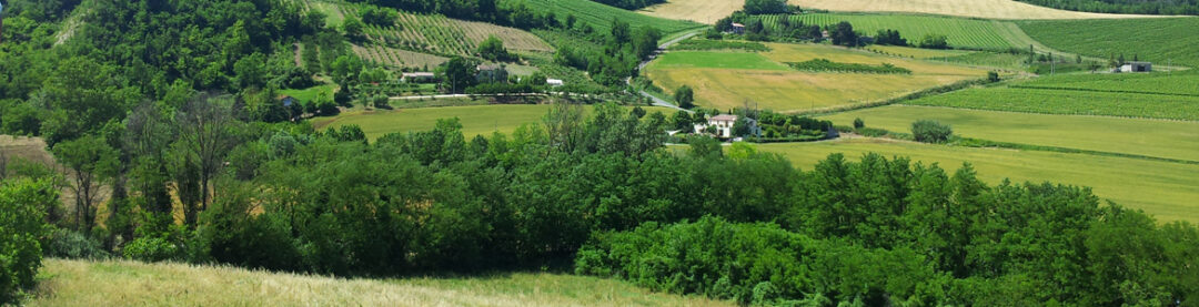 1442406381-0-nasce-in-emilia-un-progetto-di-agricoltura-solidale.jpg